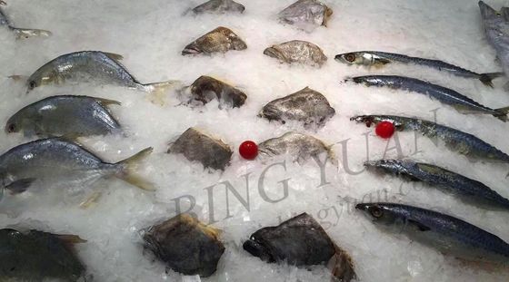 30 टन दैनिक क्षमता परत बर्फ मशीन, ऊर्जा की बचत-स्वचालित बर्फ निर्माता
