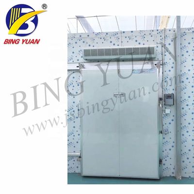 फलों और सब्जियों के लिए 200KW 200mm R22 450V कोल्ड स्टोरेज रूम